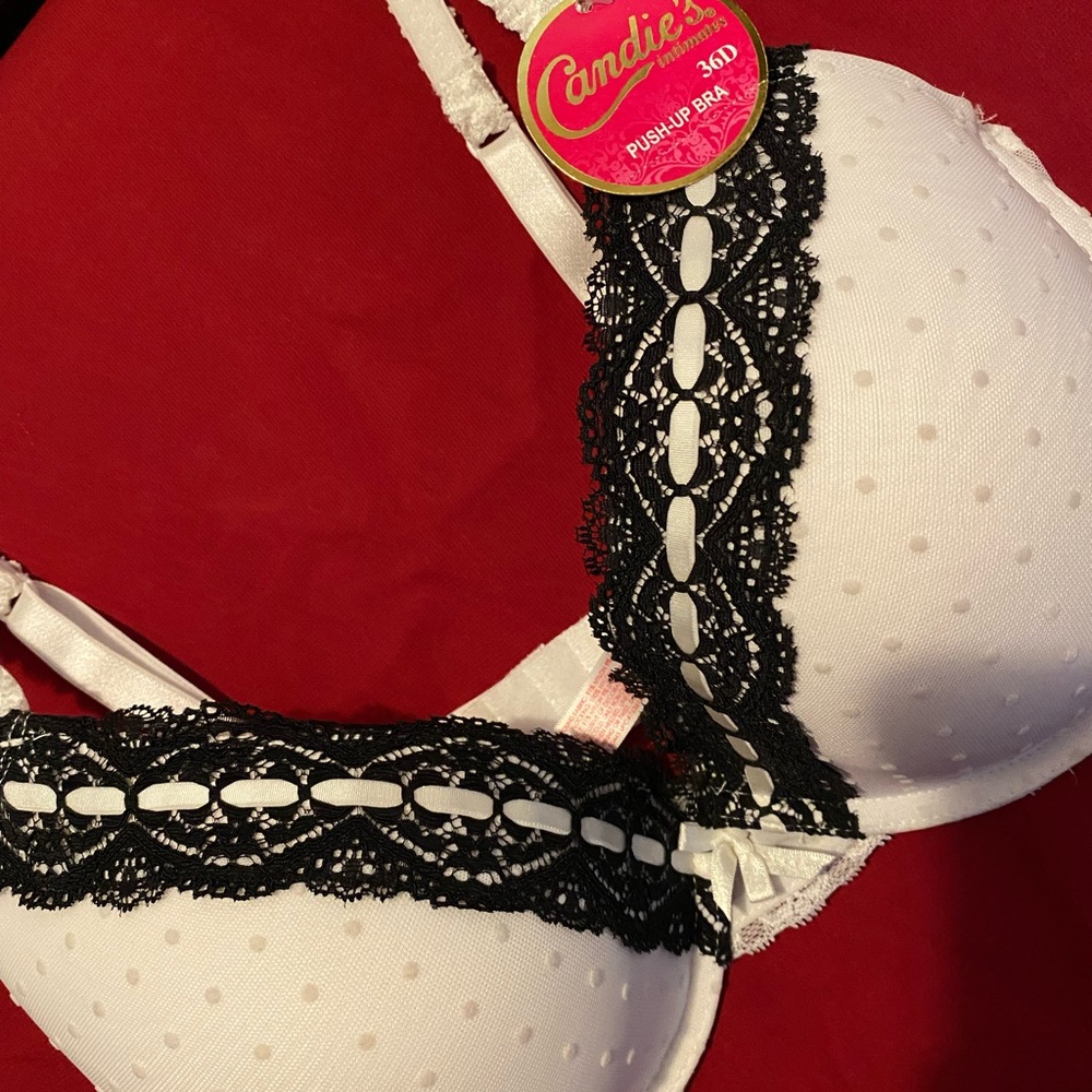 Candies Intimates Push-up Bra